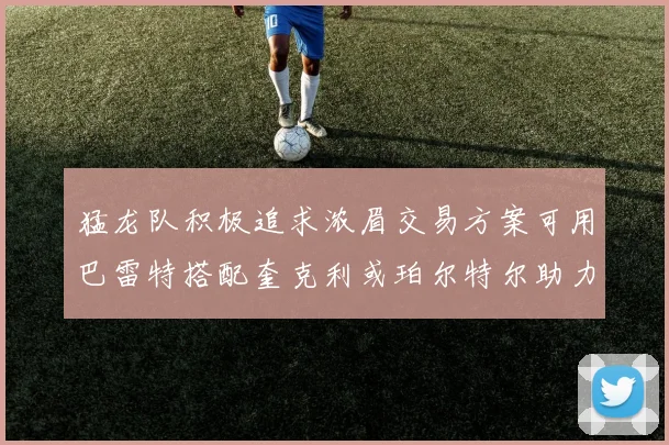 猛龙队积极追求浓眉交易方案可用巴雷特搭配奎克利或珀尔特尔助力交易
