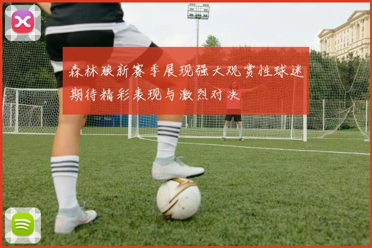 森林狼新赛季展现强大观赏性球迷期待精彩表现与激烈对决