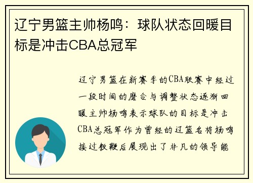 辽宁男篮主帅杨鸣：球队状态回暖目标是冲击CBA总冠军